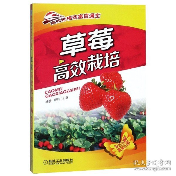 高效种植致富直通车：草莓高效栽培