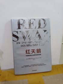 红天鹅：中国独特的治理和制度创新