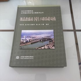长江水利委员会大中型水利水电工程技术丛书：坝基软弱层（带）工程地质研究