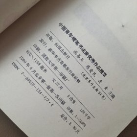 中国青年硬笔书法家优秀作品精萃