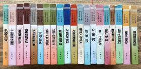 二十世纪湖南文史资料文库 十九种不同共21册合售