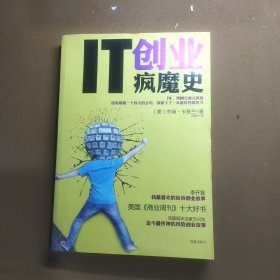 IT创业疯魔史