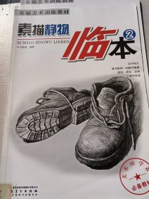基础美术训练教材——素描静物临本②