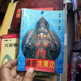 藏密大乘功