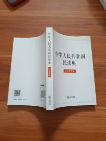 中华人民共和国民法典（大字条旨版）2020年6月