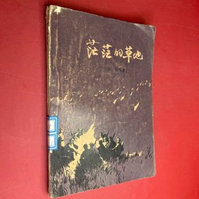 茫茫的草地