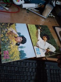 电影介绍(北京)1983年2、3