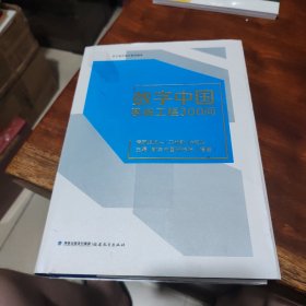 数字中国系统工程300问