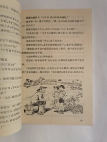 飞虎队与野猎队