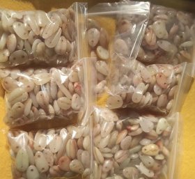 628个玉贝币