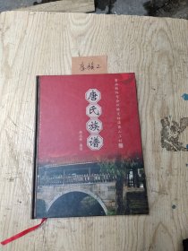 唐氏族谱(广西桂林市全州县文桥镇谏山上村)