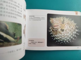 口袋图书馆 :危险动物