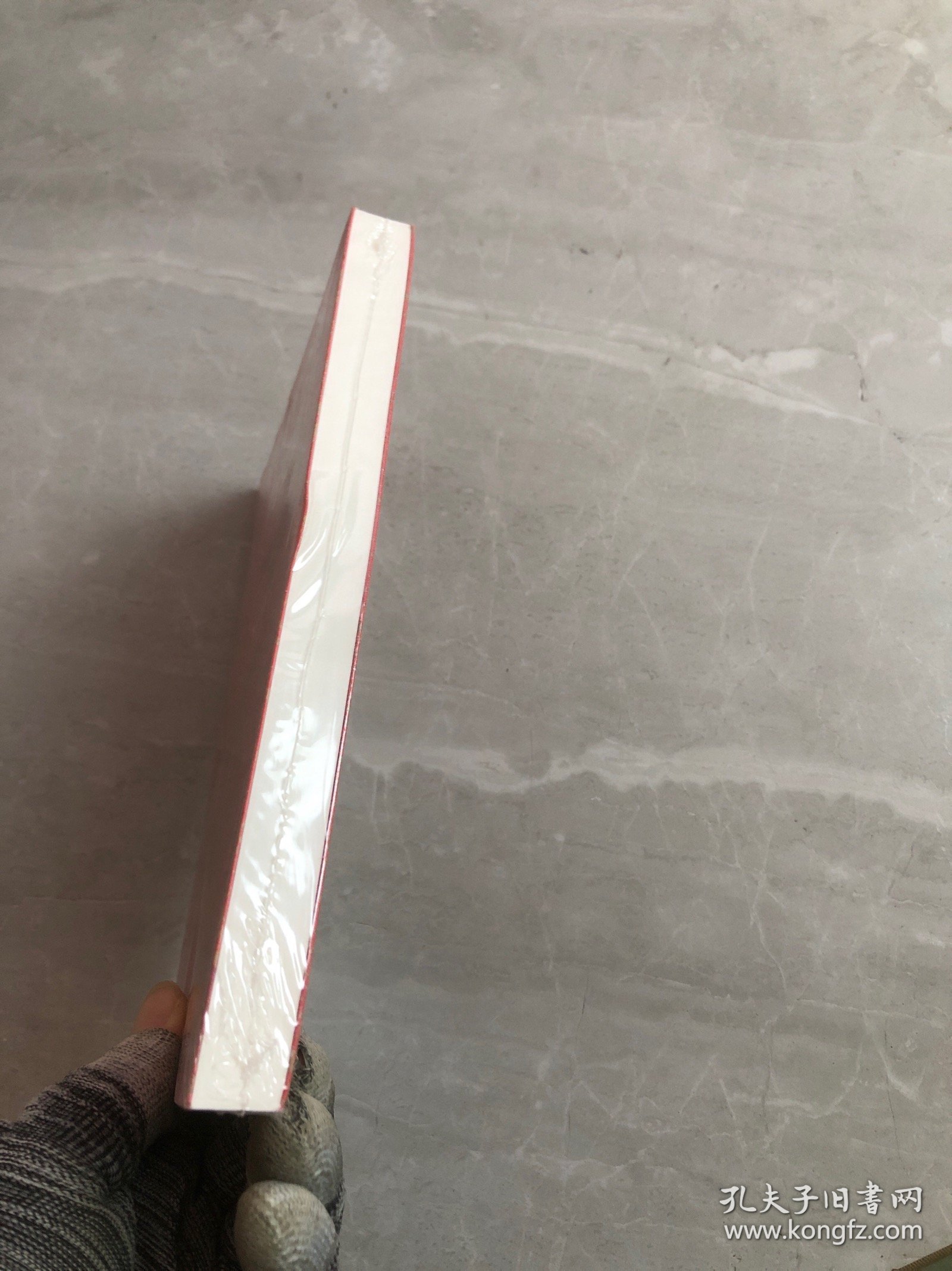 中国工会的历史细节