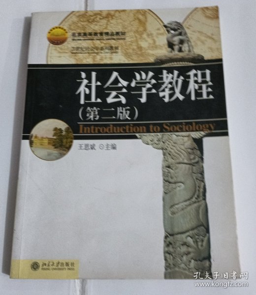 21世纪社会学系列教材：社会学教程（第二版）