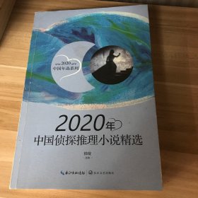 2020年中国侦探推理小说精选（2020中国年选系列）
