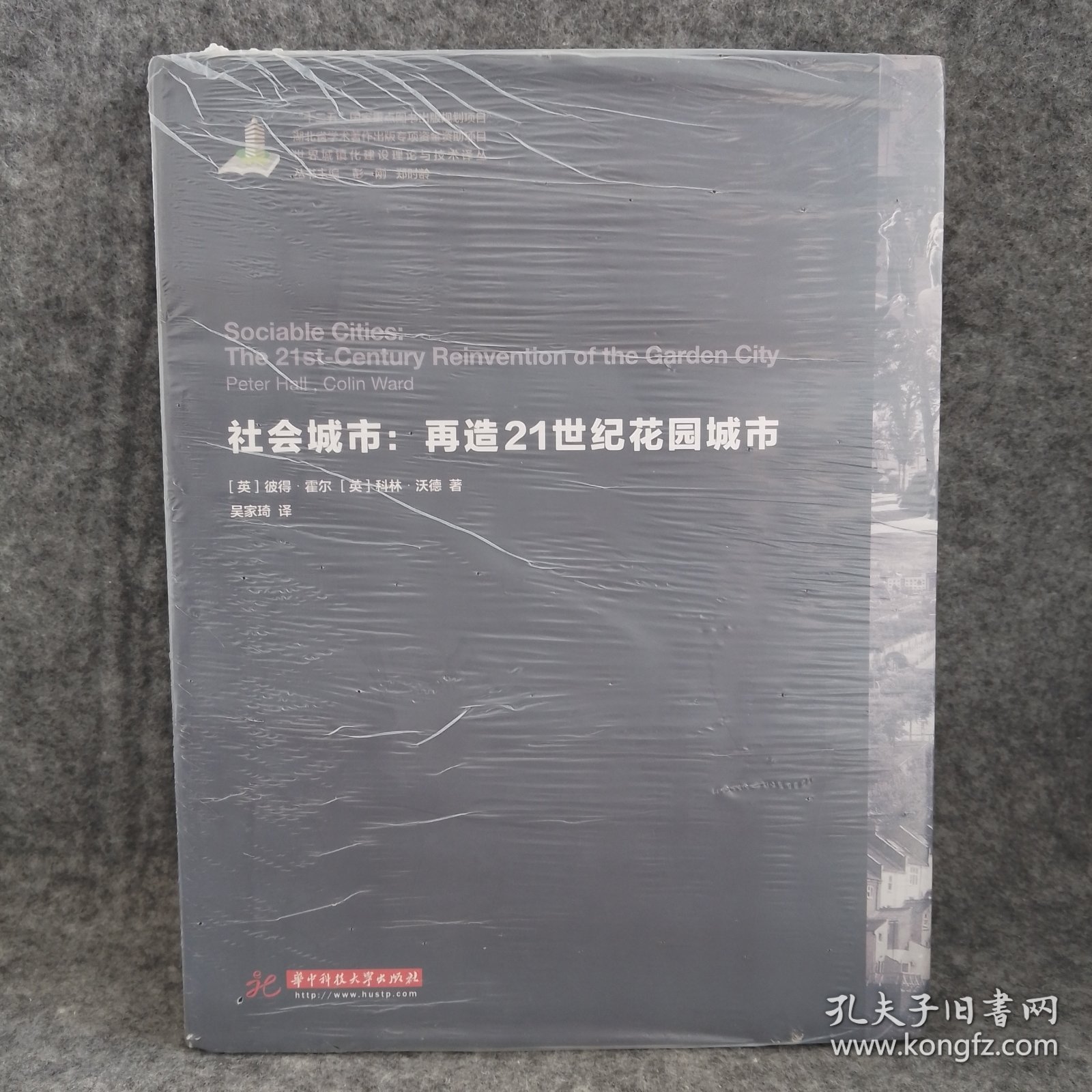 世界城镇化理论与技术译丛--社会城市：再造21世纪花园城市