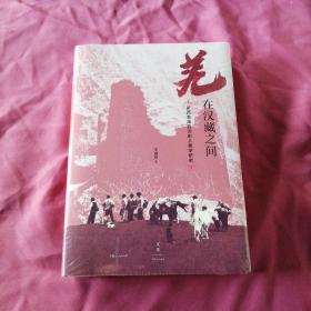 羌在汉藏之间：川西羌族的历史人类学研究（《华夏边缘》作者王明珂经典力作，川西羌族全解）