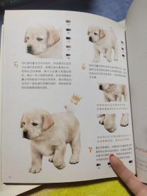 狗狗绘·33只萌犬的色铅笔图绘、陪伴在我们身边的小伙伴（2 本合售）