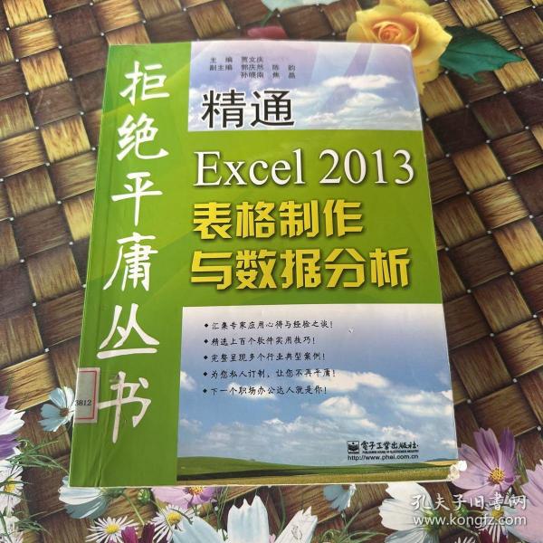 拒绝平庸丛书：精通Excel 2013表格制作与数据分析