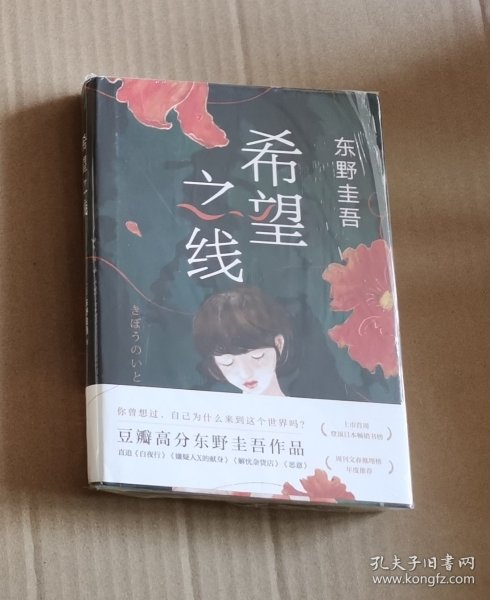 希望之线（东野圭吾重磅新书！《恶意》系列温暖杰作）