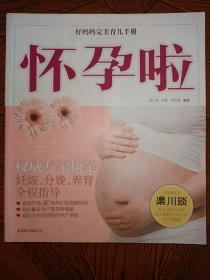 好妈妈完美育儿手册：怀孕啦