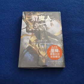 猎魔人2：宿命之剑