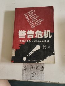 警告危机:中国总裁加入WTO前的反省