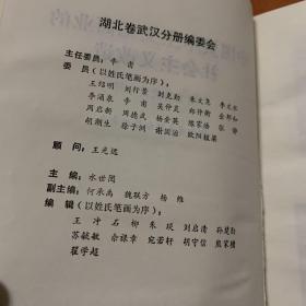 中国资本主义工商业的社会主义改造(湖北卷武汉分册）