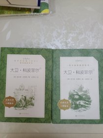 大卫科波菲尔上下