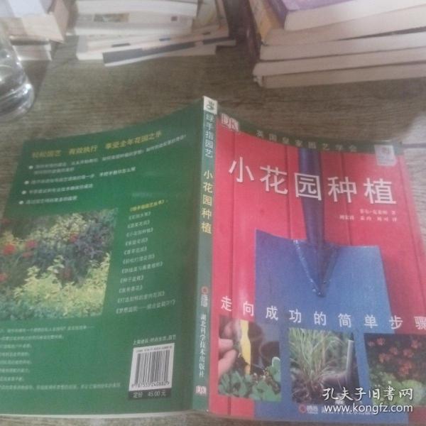 小花园种植：小花园种植+铁线藤与藤蔓植物