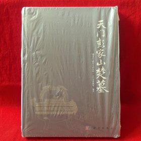 天门彭家山楚墓