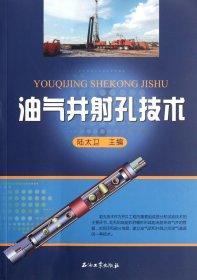 油氣井 孔技術(shù) 9787502190262