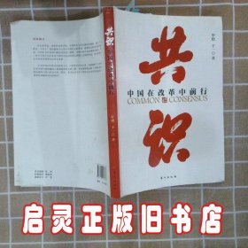 共识：中国在改革中前行 罗晓.于一 东方出版社