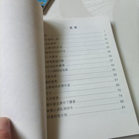 神勇小虎队:第十集足球案、第十二集斩断魔爪（无解码器）