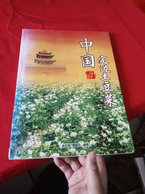 中国定边土豆菜