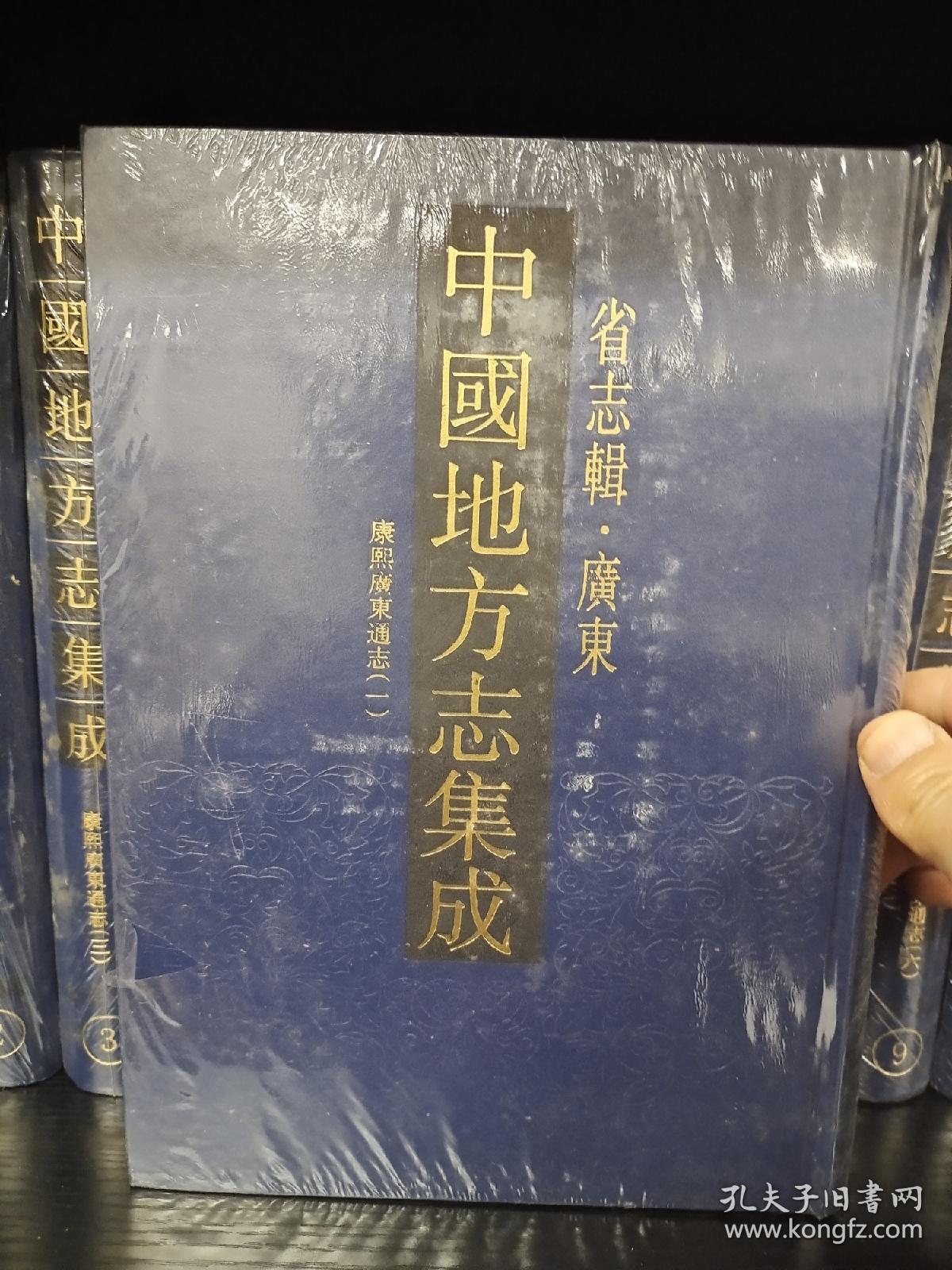 中国地方志集成:省志辑·广东，16开精装全10册，近全新，包邮