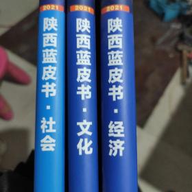 陕西蓝皮书：陕西<经济，文化，社会>发展报告2021<三册>