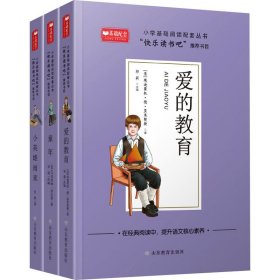 爱的教育小学基础阅读配套丛书：快乐读书吧六年级