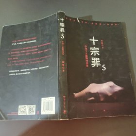 十宗罪5：中国十大凶杀案