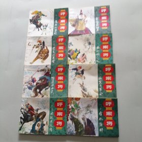 呼家将 连环画20册全
