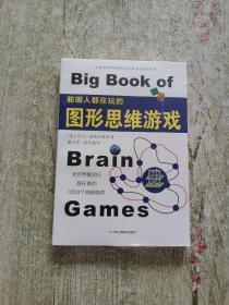 聪明人都在玩的图形思维游戏（全新未拆封）