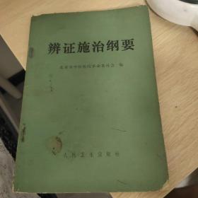 辨证施治纲要