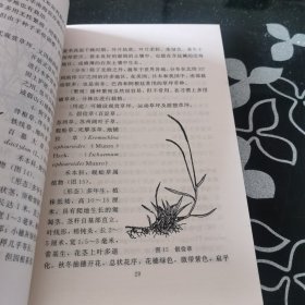 实用草坪手册 中国农业科学院西部农业实用技术丛书