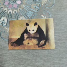 熊猫 明信片 全9张