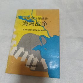 美国国防部报告海湾战争