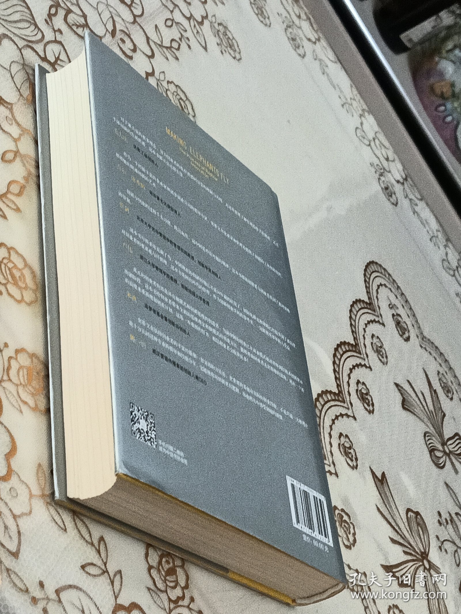 让大象飞:激进创新，让你一飞冲天的创业术