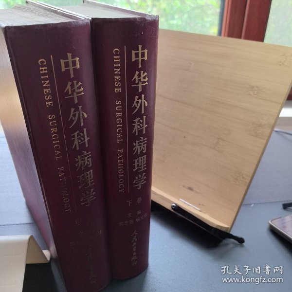 中华外科病理学（上中下）