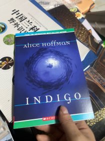 Indigo 藍(lán)