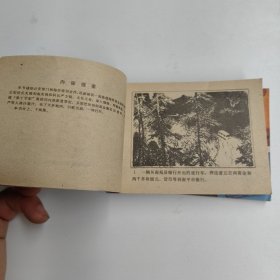 连环画 黑十字架（上下集全）