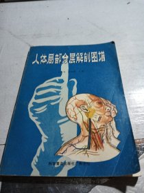 人体局部分层解剖学图谱